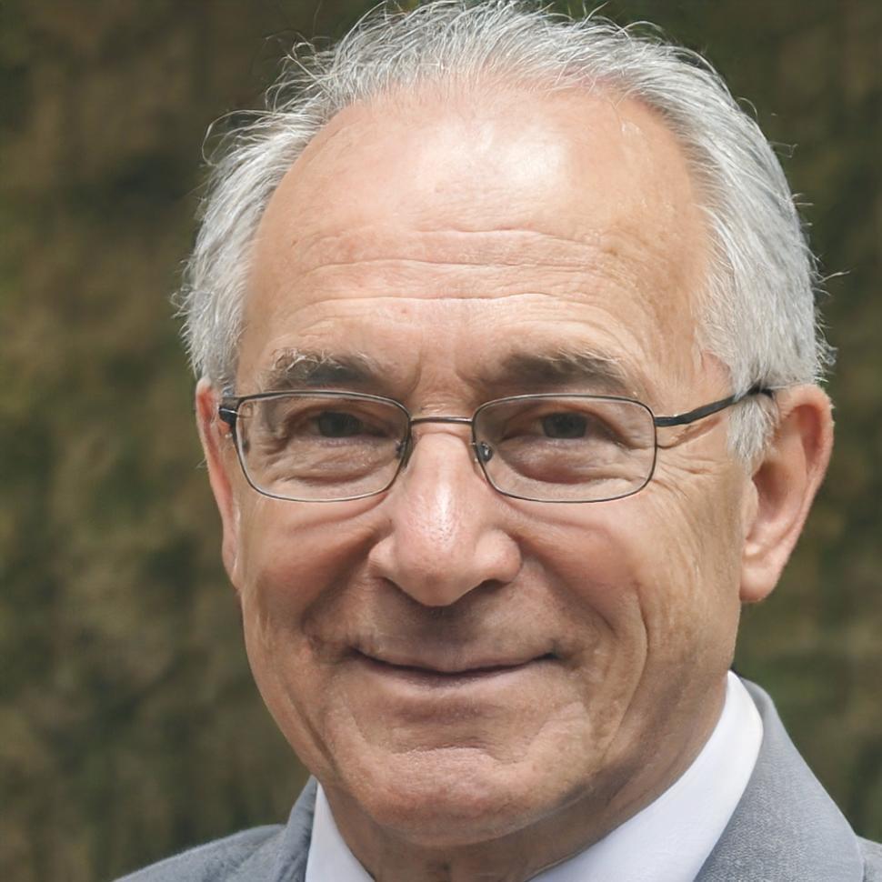 Dr. Heinrich Bergmann, Programmleiter für fortgeschrittene Finanzanalyse